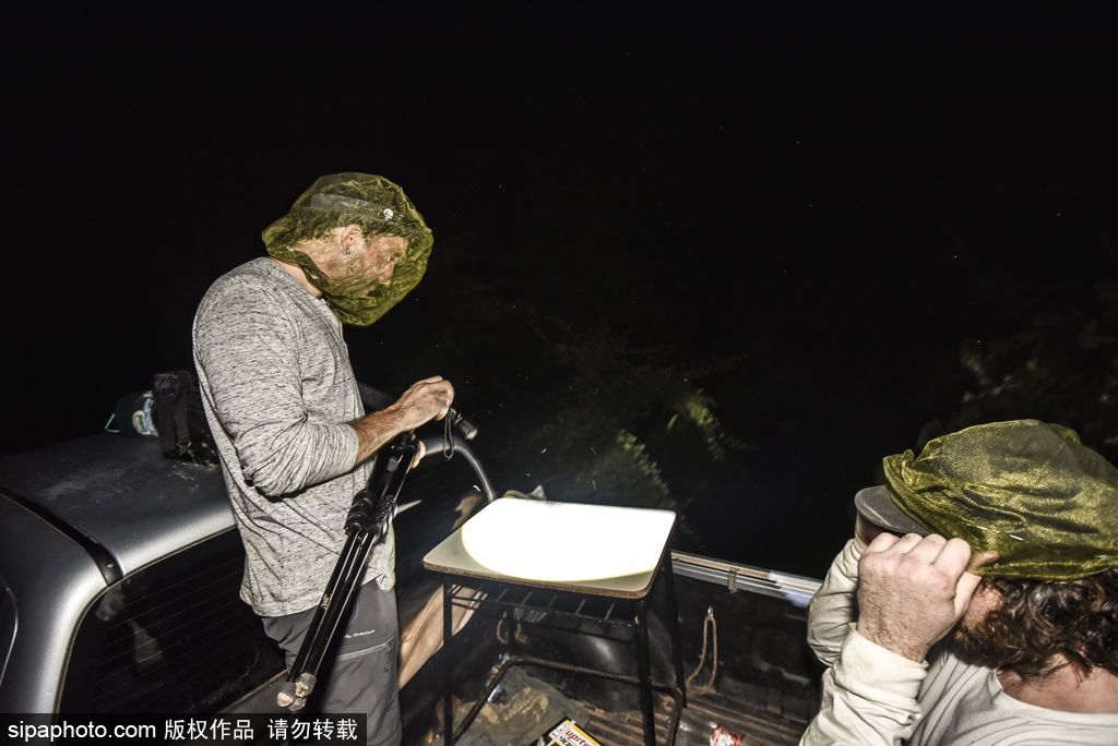 巴西熱帶雨林的投影 攝影師打造震撼光影涂鴉提倡環保