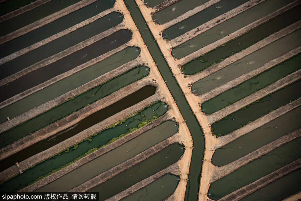 被上帝親吻的地方 航拍西班牙安達(dá)魯西亞震撼秋色