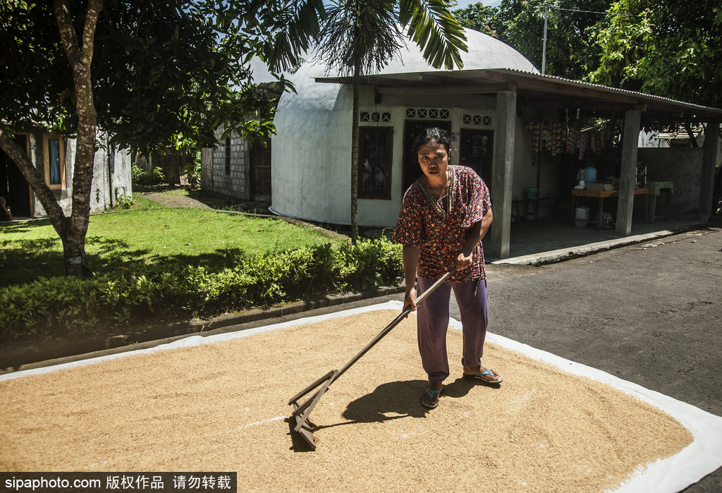 印尼海嘯十年后的災(zāi)民村 圓頂房屋造型奇特成旅游景點(diǎn)