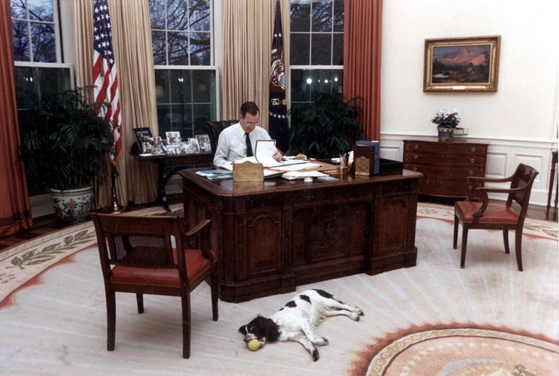 盤點(diǎn)入住白宮的歷任“第一狗狗”