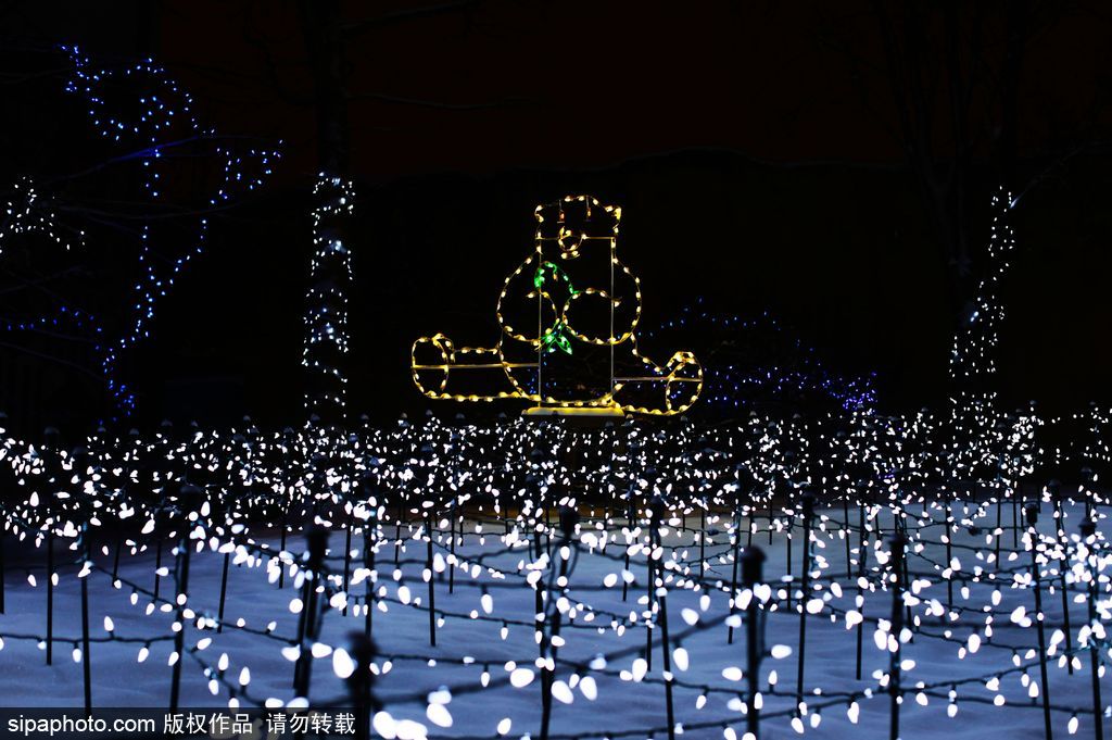 加拿大：卡爾加里公園亮起上萬彩燈迎接圣誕節(jié) 造型各異趣味十足