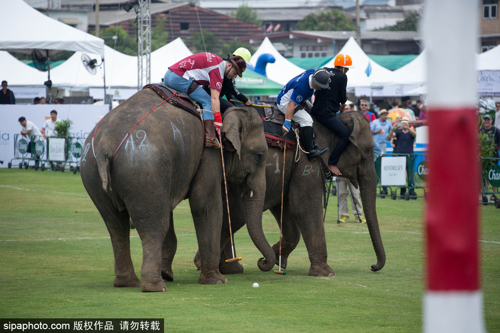 腦洞大過天！盤點全球各類奇葩比賽