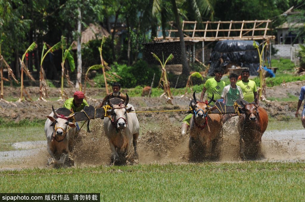 腦洞大過天！盤點全球各類奇葩比賽