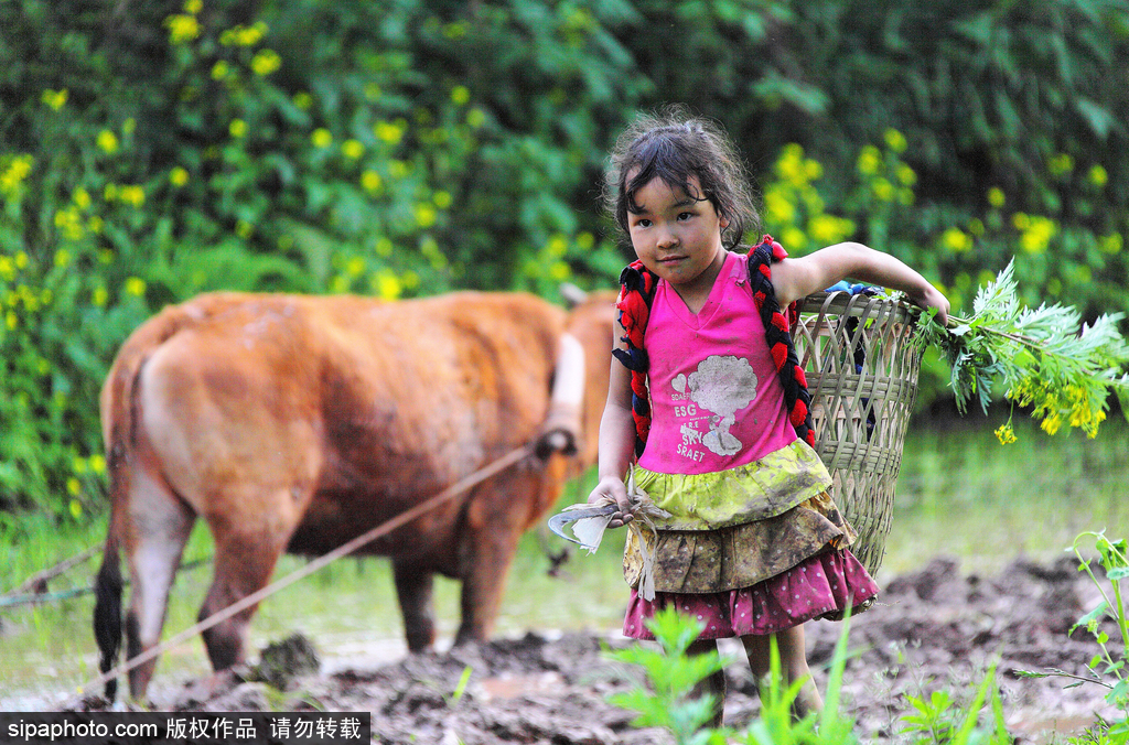 春回大地草木萌動(dòng) 盤(pán)點(diǎn)那些農(nóng)田光景返樸歸真