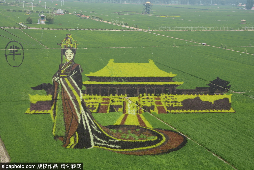 春回大地草木萌動 盤點那些農田光景返樸歸真