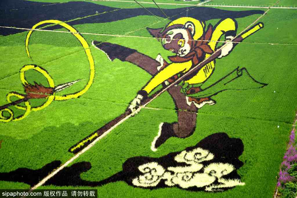 春回大地草木萌動 盤點(diǎn)那些農(nóng)田光景返樸歸真