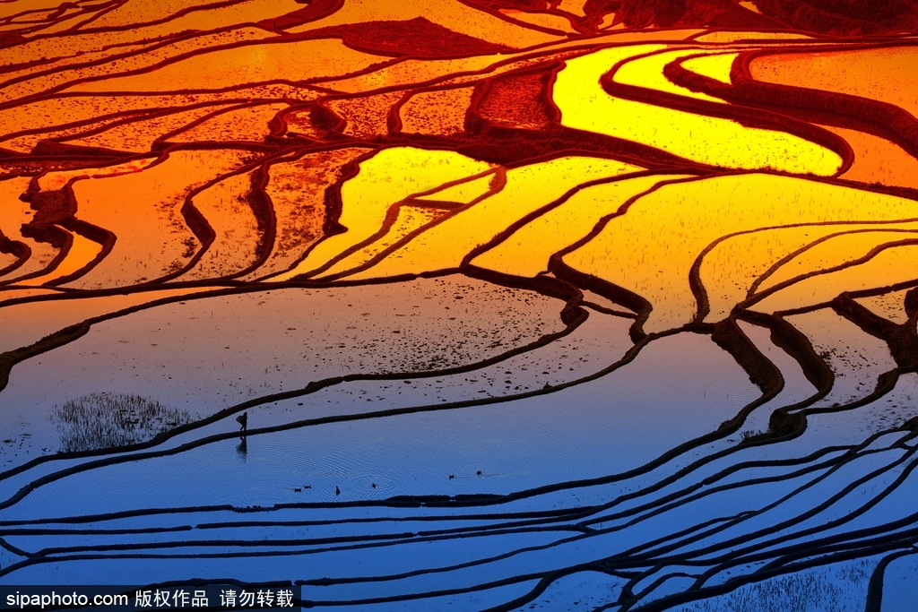 春回大地草木萌動(dòng) 盤點(diǎn)那些農(nóng)田光景返樸歸真