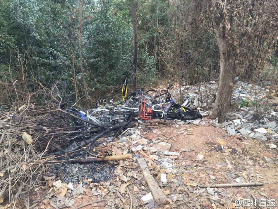 成都共享單車被燒毀 盤點(diǎn)N種被“玩壞”的共享單車