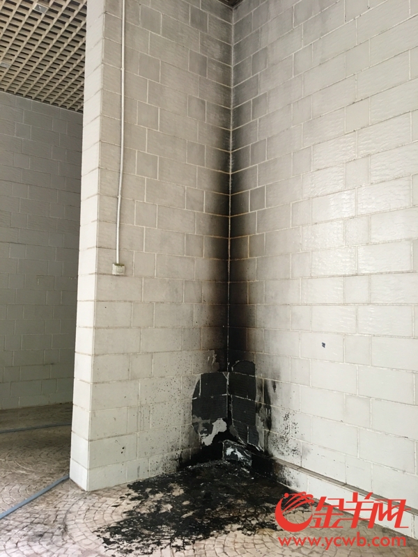 成都共享單車被燒毀 盤點(diǎn)N種被“玩壞”的共享單車