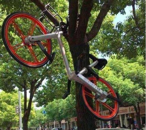 成都共享單車被燒毀 盤點(diǎn)N種被“玩壞”的共享單車