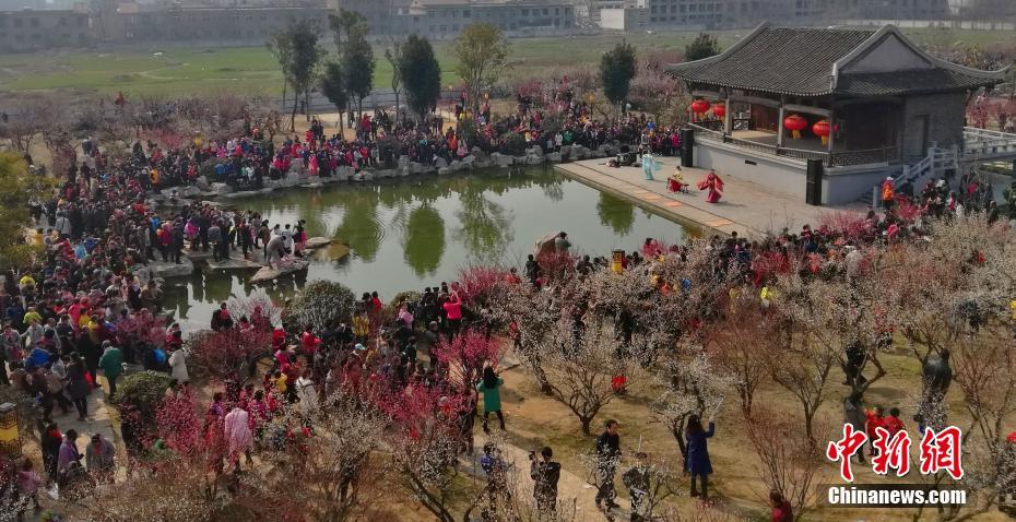 徐州梅花姹紫嫣紅迎春來(lái) 古風(fēng)漢韻穿越秀（組圖）