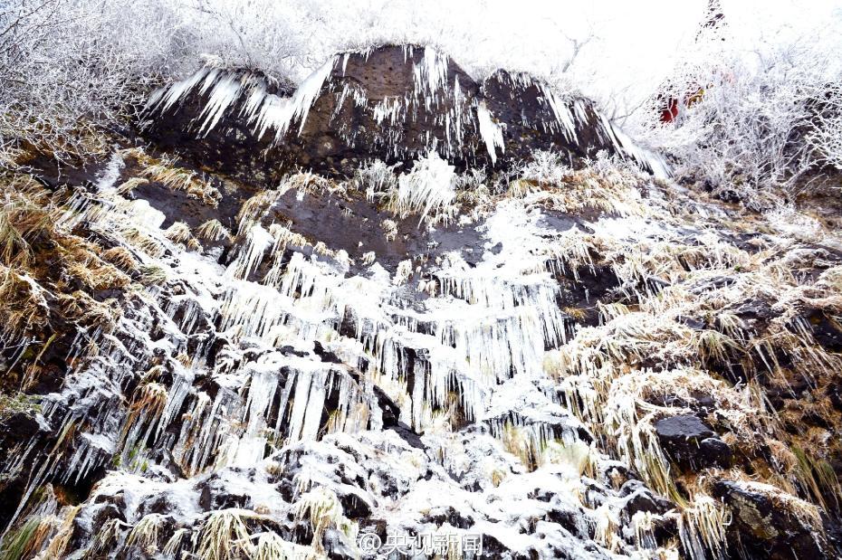 貴州梵凈山現霧凇美景 宛如仙境（組圖）