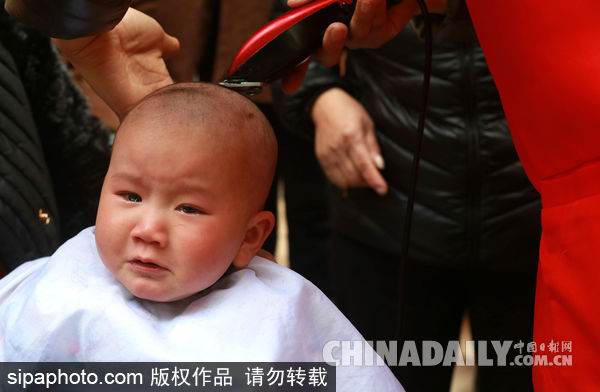 安徽合肥：二月二娃娃“剃龍頭”萌態百出（組圖）