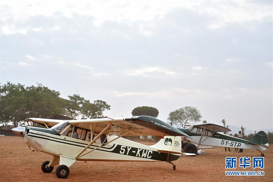 肯尼亞對(duì)野生動(dòng)物進(jìn)行“人口普查” 包含數(shù)量、遷徙路線和資源數(shù)據(jù)