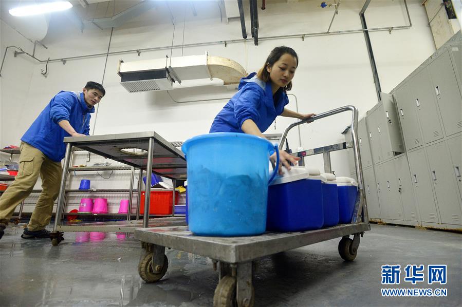 “海豚姑娘”的藍(lán)色追夢之旅