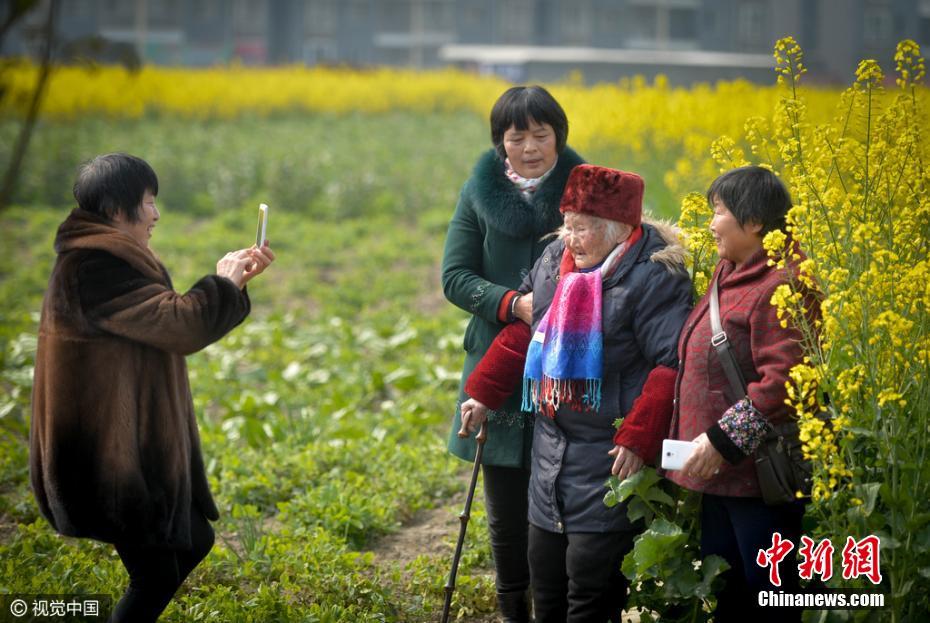 105歲老人全家共96口人 年齡相加達3850歲