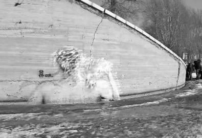 大橋現美女出浴圖 公園：美觀但不合規定