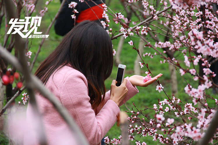 《三生三世》已完結 西安附近哪里能去看桃花？