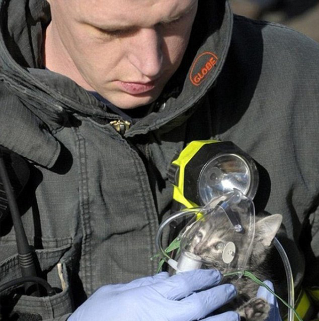 人間自有真情在！鏡頭記錄全球溫情瞬間（組圖）
