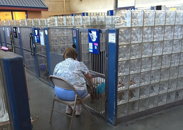 人間自有真情在！鏡頭記錄全球溫情瞬間（組圖）