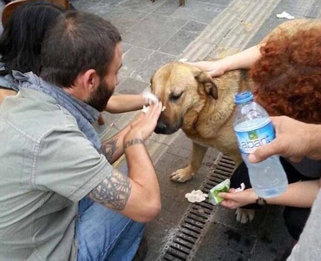 人間自有真情在！鏡頭記錄全球溫情瞬間（組圖）