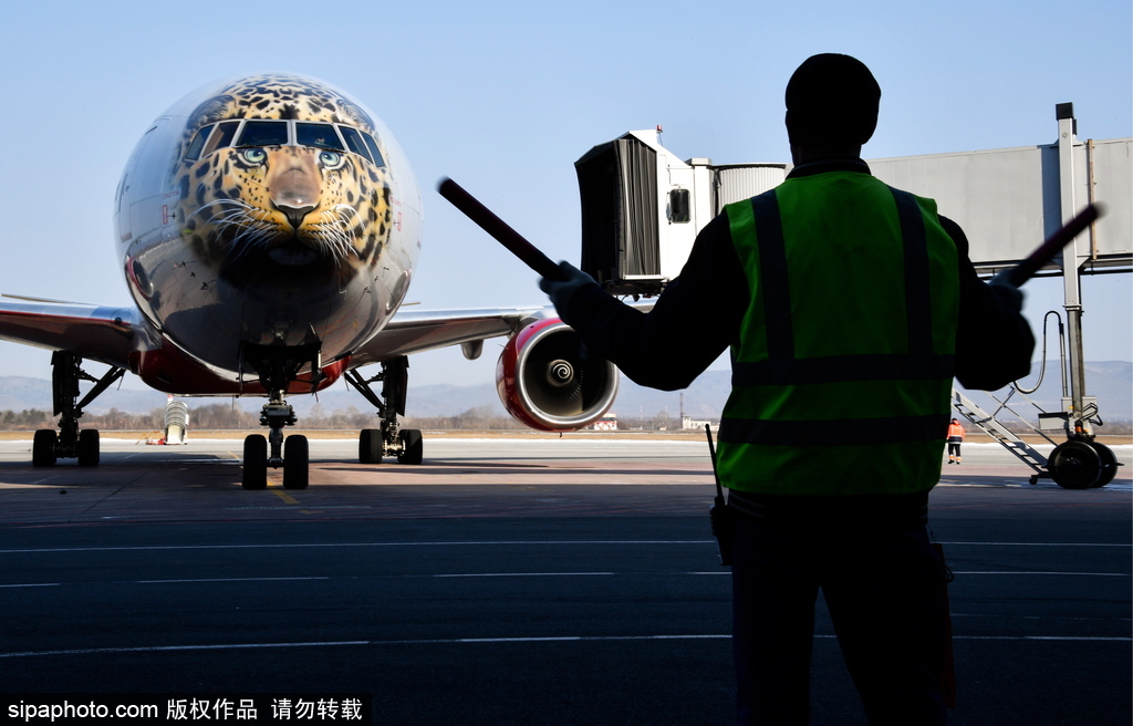 一頭豹子飛過來！俄羅斯飛機繪遠東豹圖案萌態(tài)十足