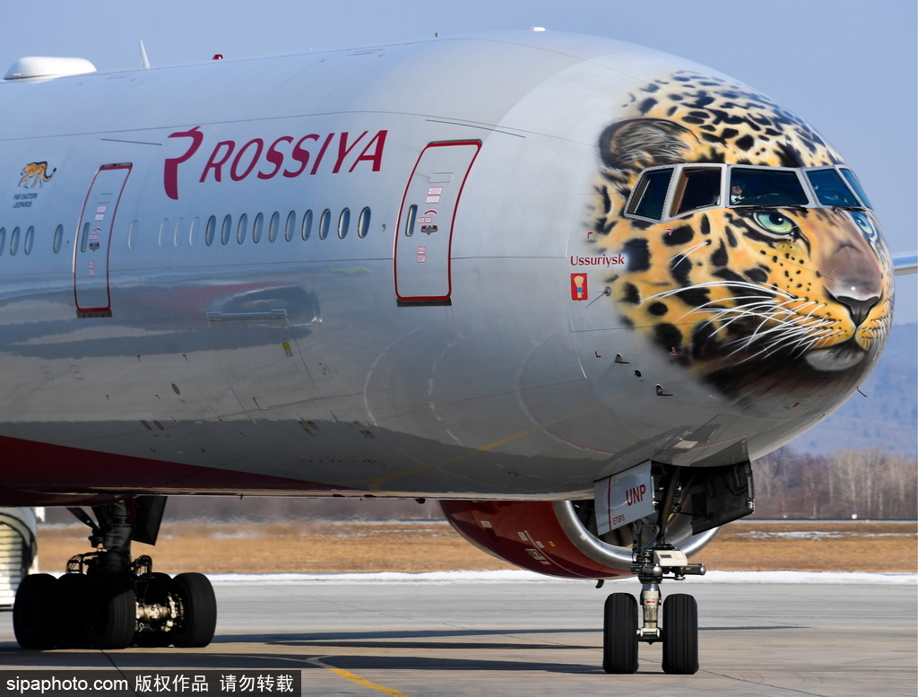 一頭豹子飛過來！俄羅斯飛機繪遠東豹圖案萌態(tài)十足