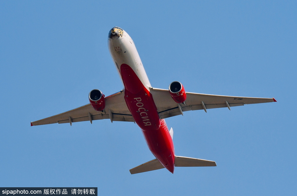 一頭豹子飛過來！俄羅斯飛機繪遠東豹圖案萌態十足