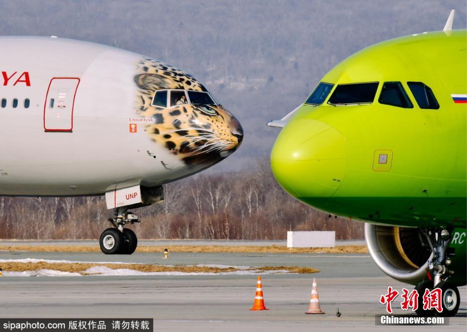 帥到爆表！俄航推遠(yuǎn)東豹彩繪飛機(jī) 喚起豹類保育