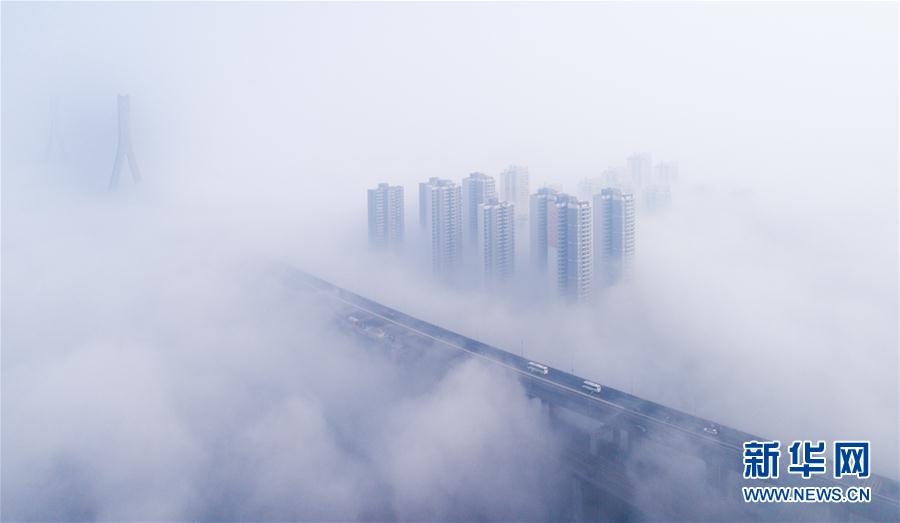 人間仙境！武漢現大霧天氣 高架橋宛如天路(組圖)