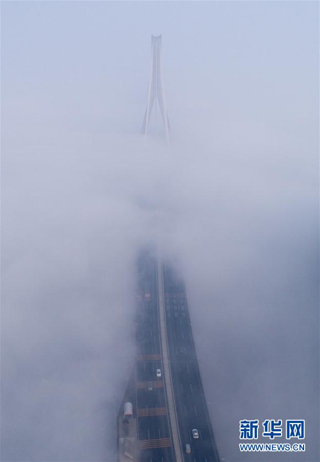 人間仙境！武漢現(xiàn)大霧天氣 高架橋宛如天路(組圖)
