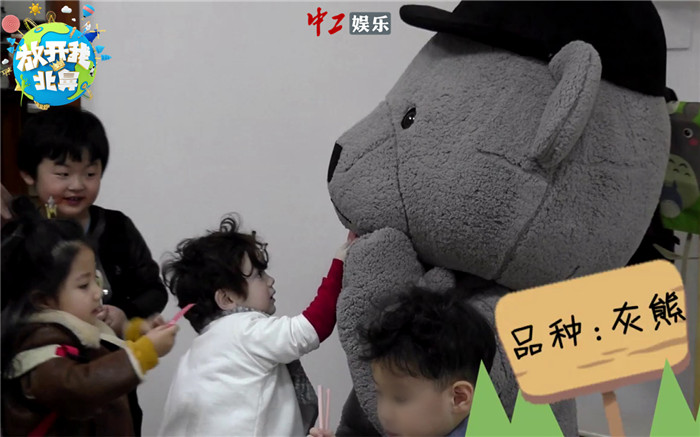 《北鼻2》高冷千璽扮熊仔暖萌敬業(yè) 忍饑挨餓幸有北鼻愛心投喂[組圖]