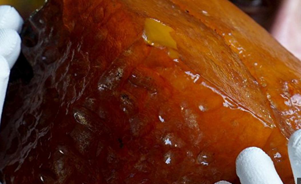 礦區挖出龍血琥珀 重達3公斤多已成化石