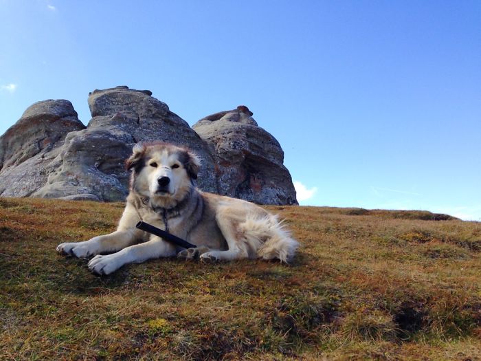 先忘掉單反 這些美照竟然是用手機(jī)拍的[組圖]