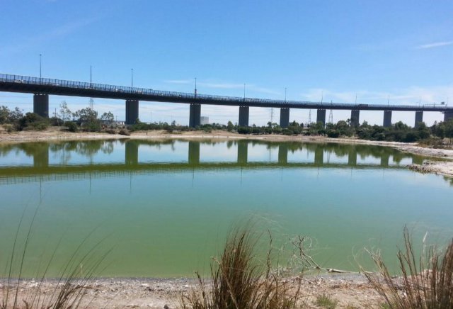 澳大利亞藍(lán)色鹽湖突變粉色 網(wǎng)友：可能戀愛了