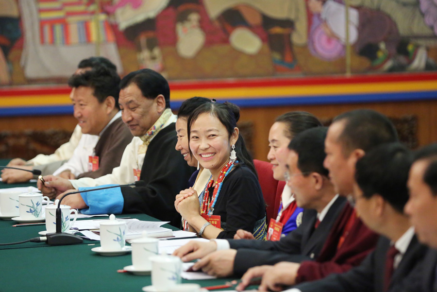 西藏代表團(tuán)全體會(huì)議向媒體開放