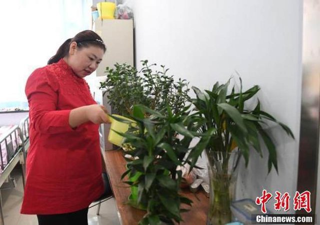 30歲女子一年瘦231斤 到底發生了什么？