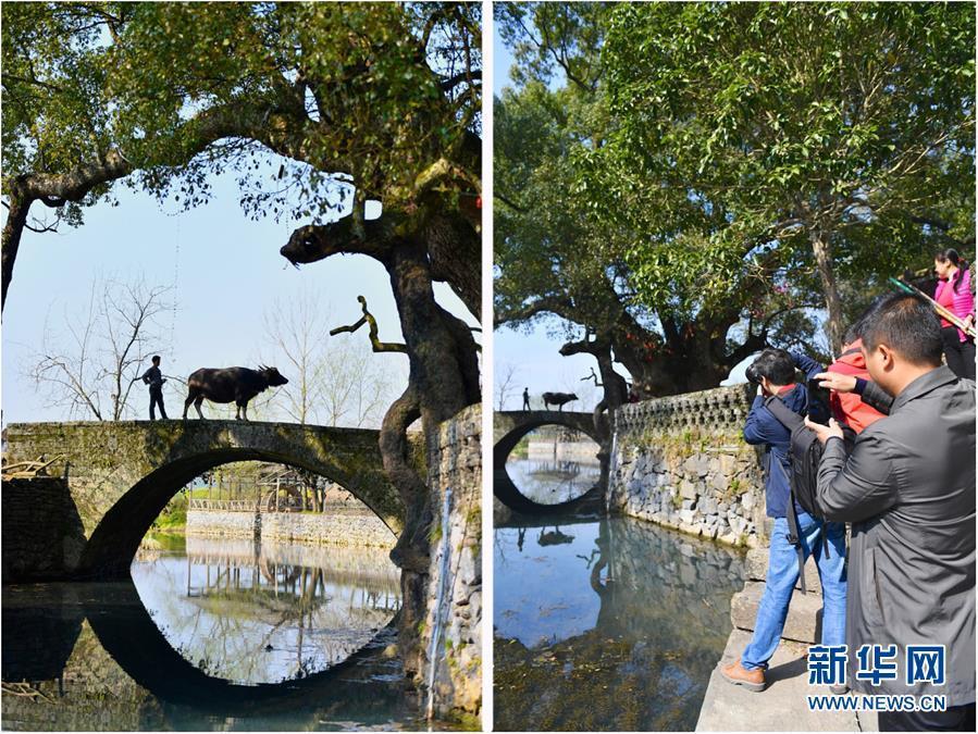 鄉村模特的“畫里畫外”