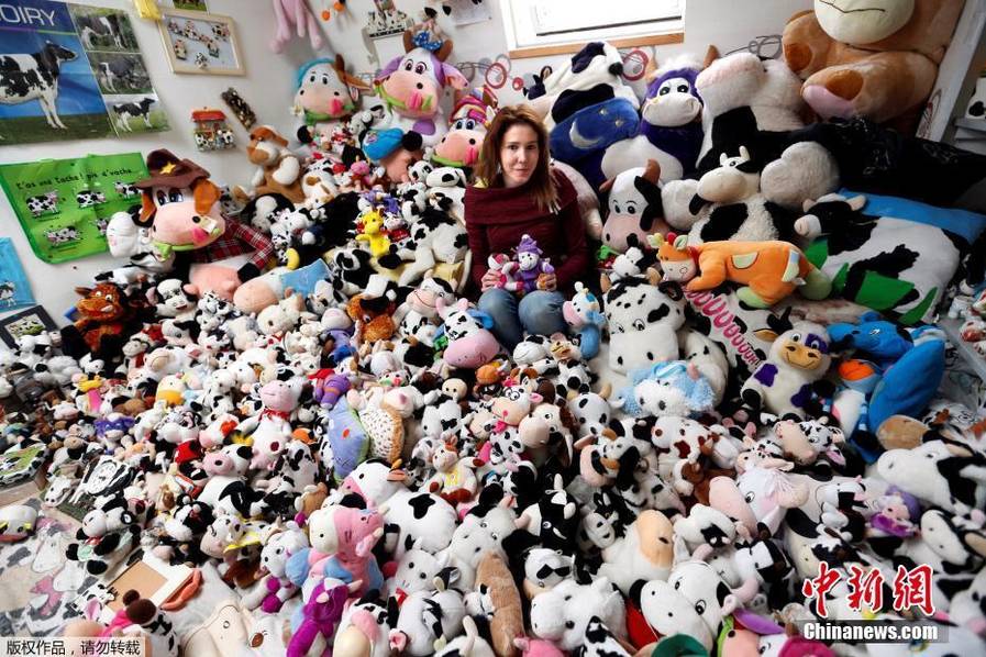 法國模特花7年收藏1679個奶牛玩偶