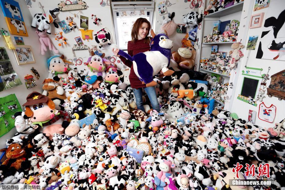 法國女?？釔凼占媾?與上千奶牛玩偶“同吃同住”