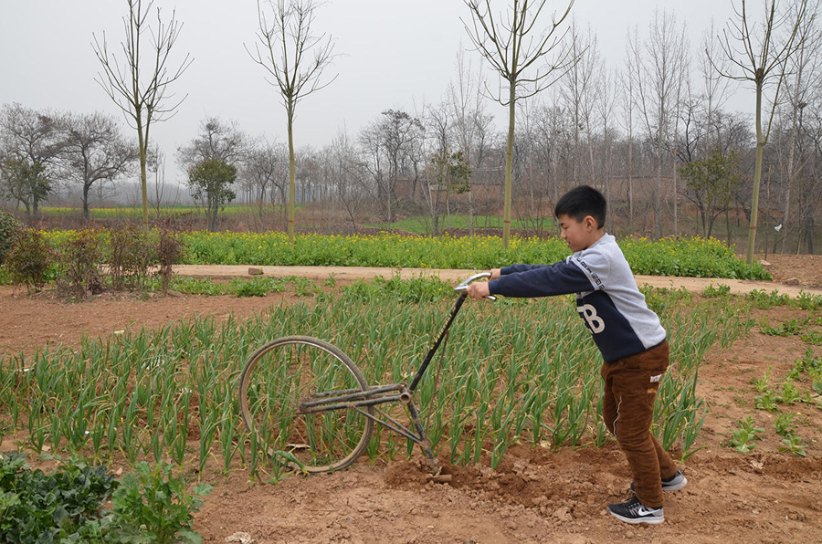 高手在民間！河南大爺改裝單車鋤地（圖）
