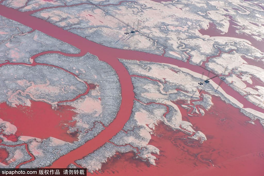 這才是上帝的調(diào)色盤！航拍美國鹽蒸發(fā)池色彩繽紛