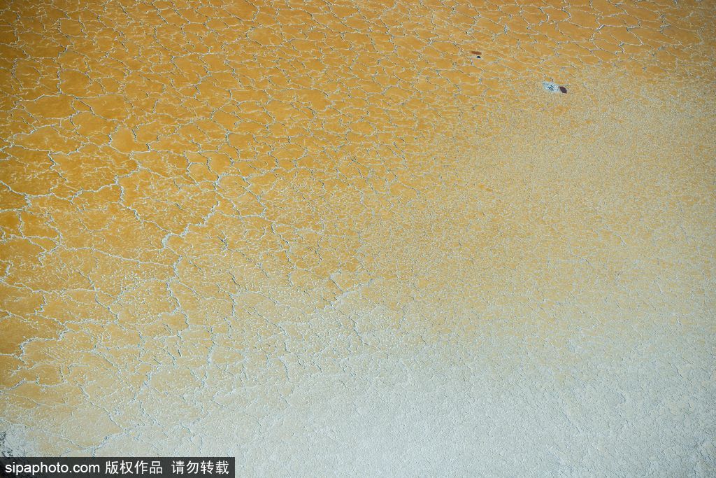 這才是上帝的調色盤！航拍美國鹽蒸發池色彩繽紛