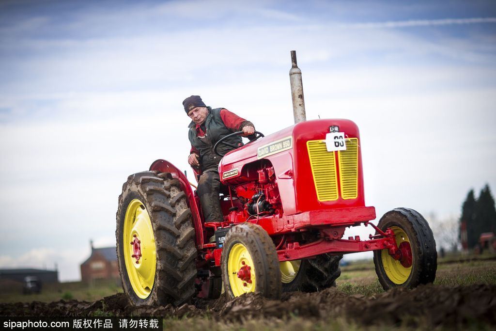 英國人民趣事多 盤點英國腦洞大開的奇葩大賽