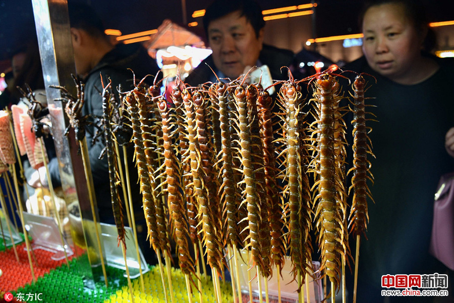 沈陽街頭現重口味“昆蟲宴”(組圖)