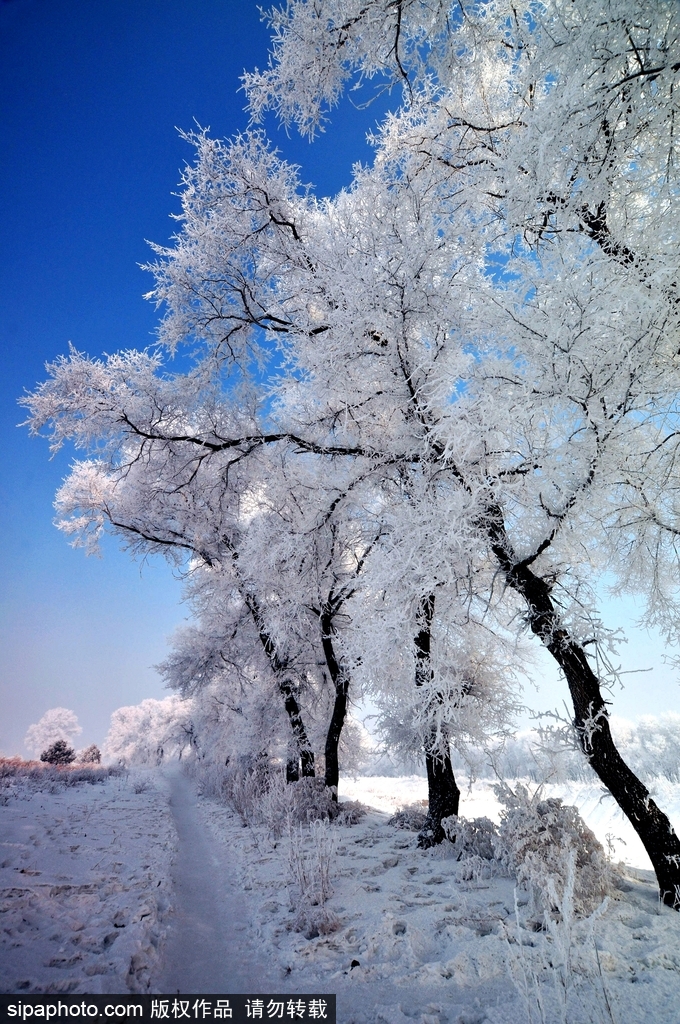 這個冬季太漫長？ 盤點霧凇冰掛美景讓你忘記季節時間