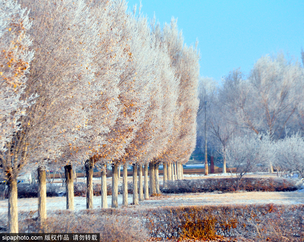 這個冬季太漫長？ 盤點霧凇冰掛美景讓你忘記季節(jié)時間