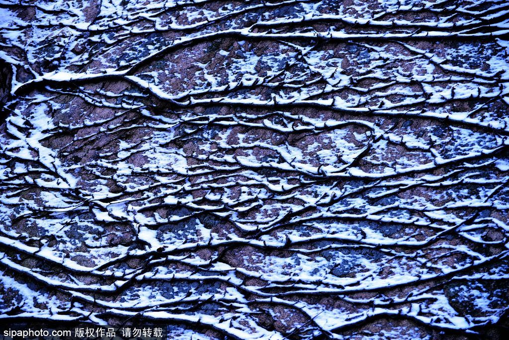 這個冬季太漫長？ 盤點霧凇冰掛美景讓你忘記季節時間