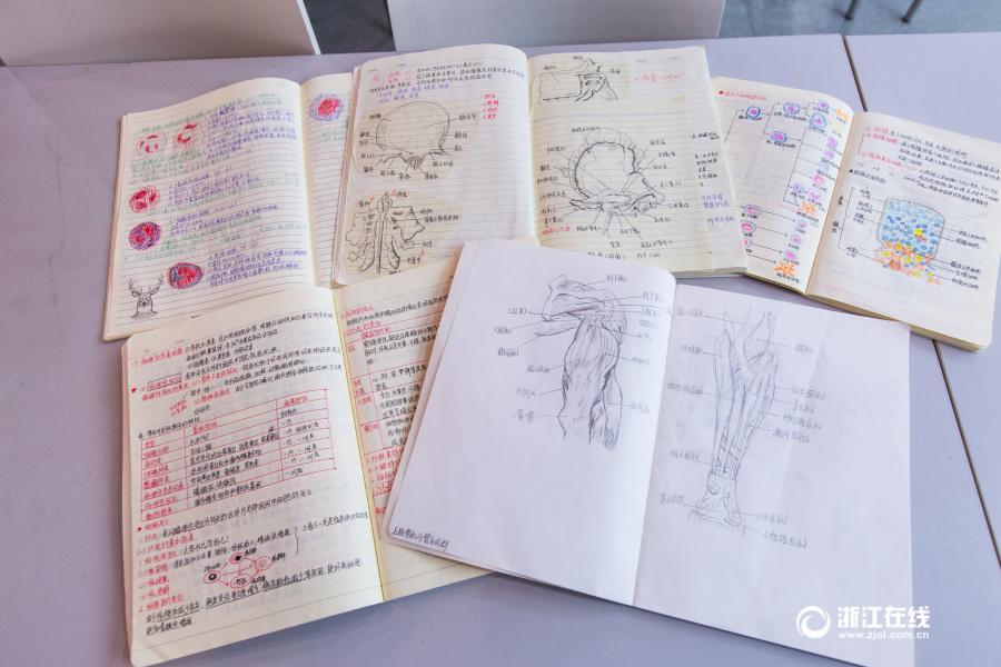 厲害了妹子！杭州大二女生解剖學筆記驚艷走紅