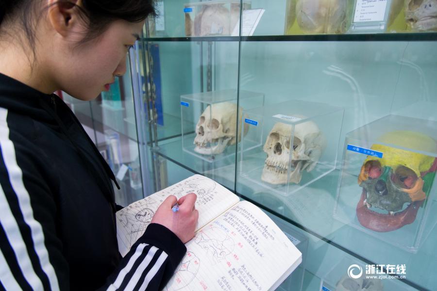 厲害了妹子！杭州大二女生解剖學筆記驚艷走紅